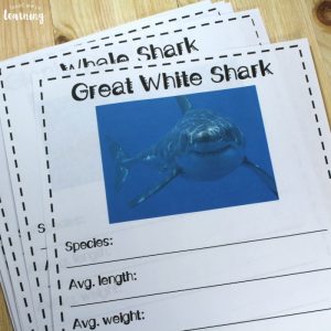 Sea Monster Notebooking Pages for Animal Study