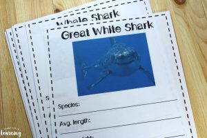 Sea Monster Notebooking Pages for Kids