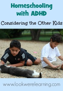 Homeschooling with ADHD: Considering the Other Kids - Look! We're Learning!