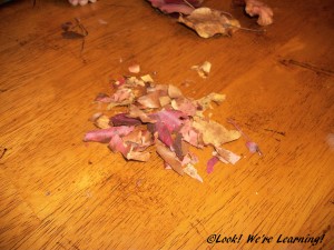 DIY Fall Leaf Snow Globe Craft - Look! We're Learning!