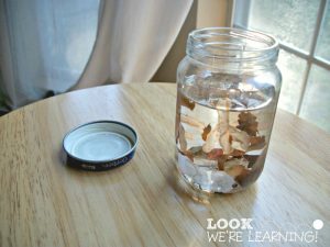 Easy Fall Snow Globe Craft