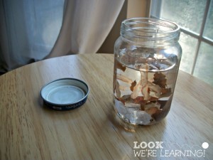 Easy Fall Snow Globe Craft - Look! We're Learning!