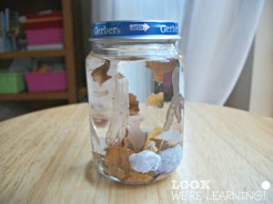 Fall Leaf Snow Globe