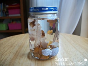 Fall Leaf Snow Globe - Look! We're Learning!