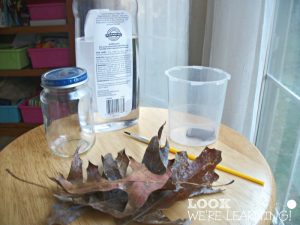 Fall Snow Globe Materials