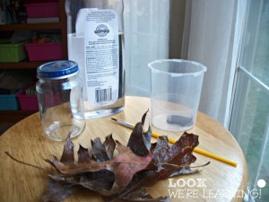 Fall Snow Globe Materials @ Look! We're Learning!