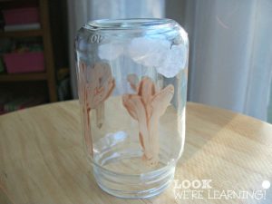 Fall Snow Globe Project