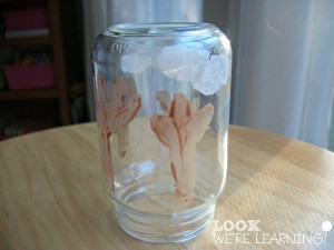 Fall Snow Globe Project - Look! We're Learning!
