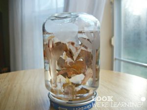 Kids Fall Snow Globe Craft