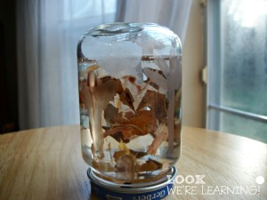 Kids Fall Snow Globe Craft - Look! We're Learning!