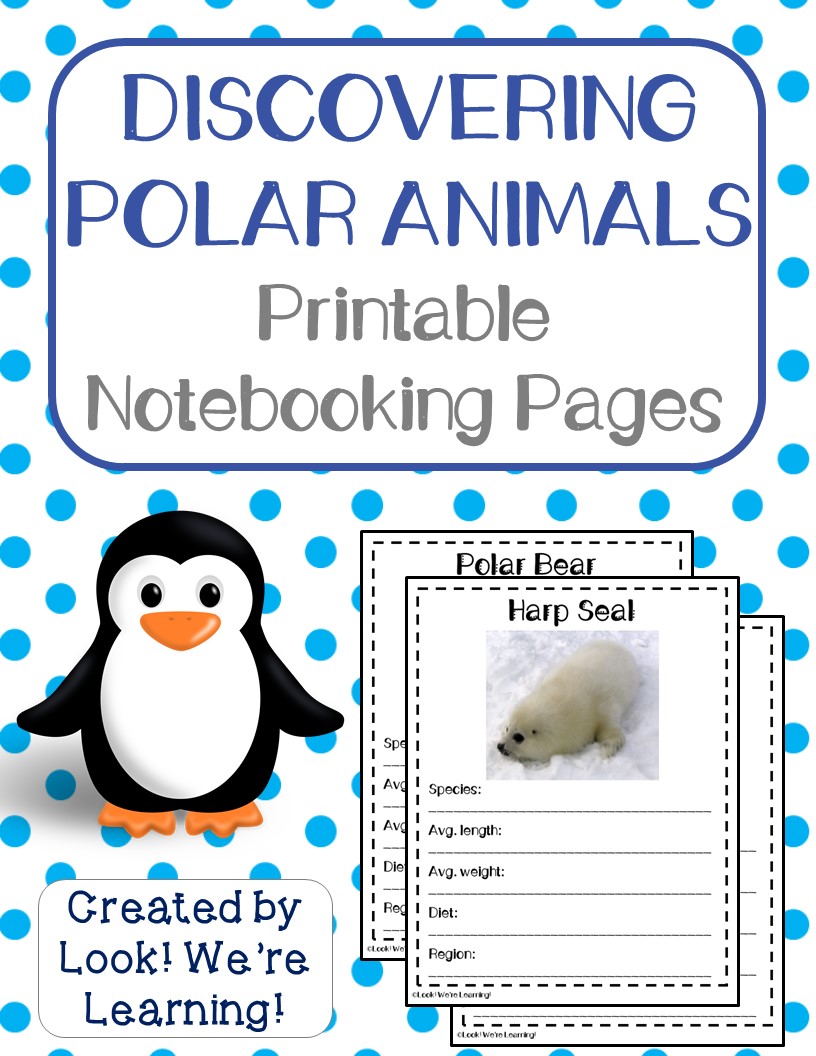 Polar Animal Notebooking Pages