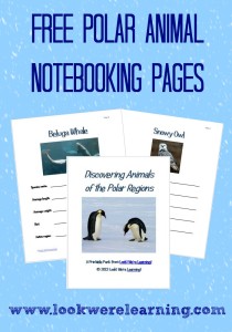 Free Polar Animal Notebooking Pages - Look! We're Learning!