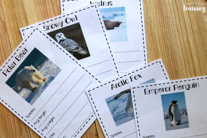 Printable Polar Animal Notebooking Pages for Kids