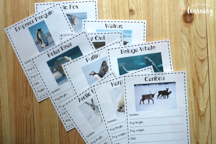 Printable Polar Animal Notebooking Pages