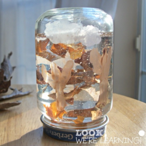 Simple Fall Snow Globe Craft
