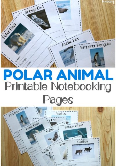 Use these printable polar animal notebooking pages to learn about winter animals and the regions where they live!