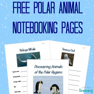 Free Polar Animal Notebooking Pages - Look! We're Learning!