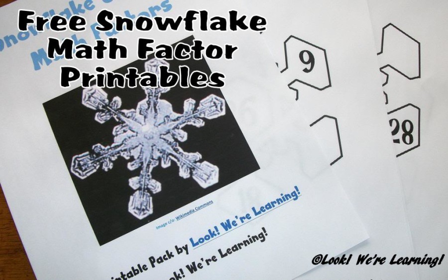 snowflake math - Look! We're Learning!