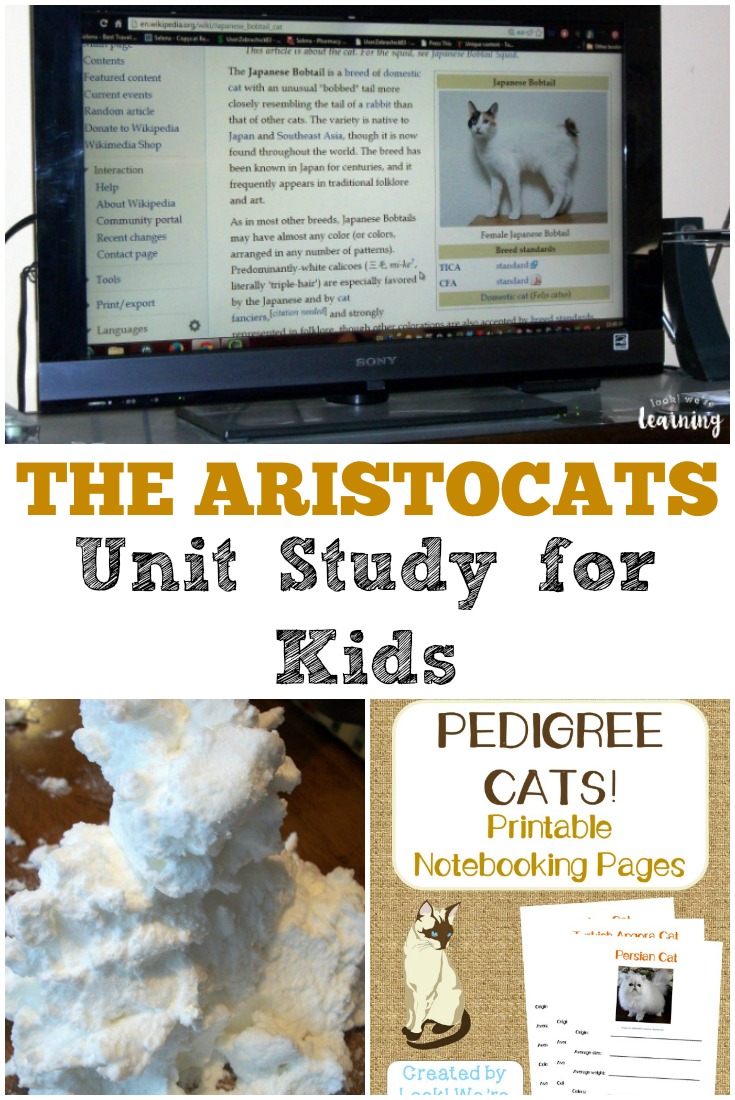 Try this The Aristocats unit study to make a classic kids' movie into a super fun lesson!