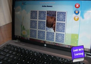 Essential Skills Advantage Matching Game