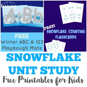 Free Printable Snowflake Unit Study Resources - Look! We're Learning ...