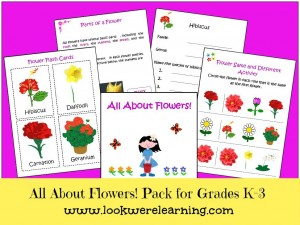 All About Flowers Flower Printables for Kids