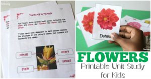 All About Flowers Printable Unit Study for Kids