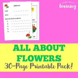 All About Flowers Printables for Kids - Look! We're Learning!