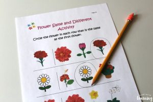 All About Flowers Same and Different Activity