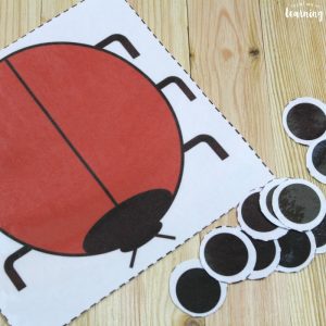 Ladybug Counting and Math Activity