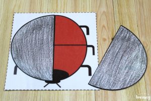 Learning about Simple Fractions with Kids