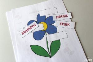 Parts of a Flower Cut and Paste Activity