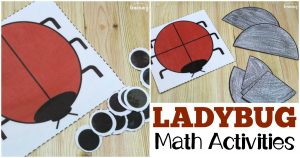 These hands-on ladybug math activities are great for teaching kids about counting, arithmetic, and basic fractions!