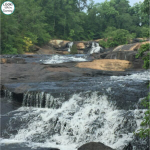 Atlanta Area State Parks