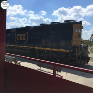 Southeastern Railway Museum Field Trip with Kids