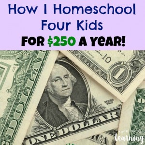 How I Homeschool Four Kids for 250 a Year