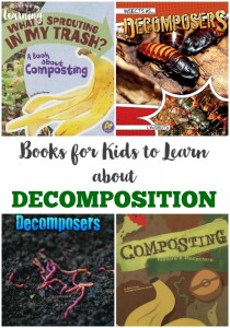 Books about Decomposition for Kids