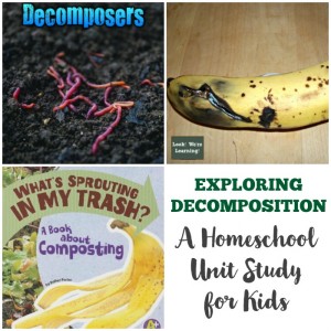 Decomposition Unit Study Lesson Ideas for Kids