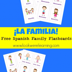 Printable Spanish Flashcards: Spanish Family Flashcards