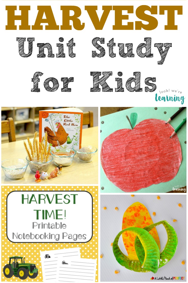 This harvest unit study is a fun way to learn about harvesting during autumn!