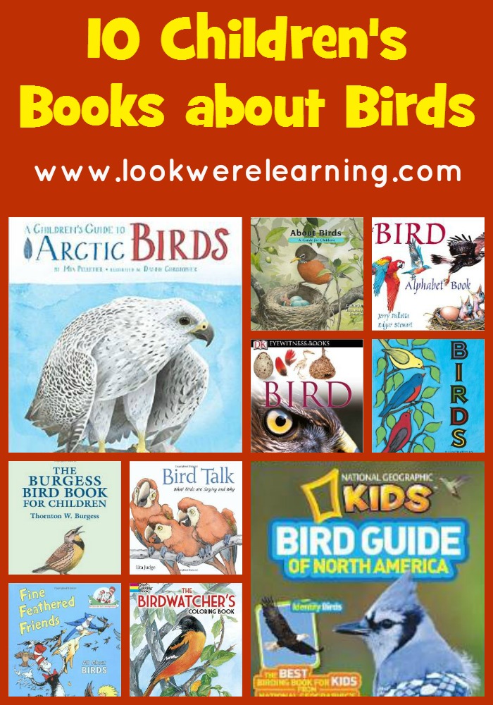 10 Children's Books about Birds - Look! We're Learning!