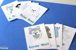 Arctic Animal Flashcards for Kids