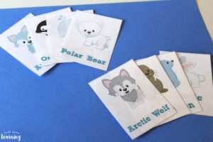 Arctic Animal Printable Flashcards