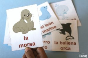 Arctic Animal Spanish Flashcards for Kids
