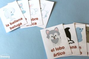 Arctic Animal Spanish Printable Flashcards for Kids