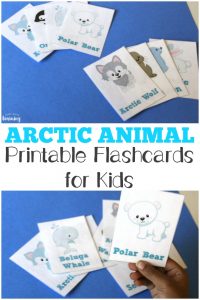 Pick up these Arctic Animal printable flashcards to help kids learn about animals that live in the Arctic region!