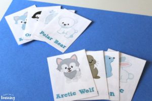 Printable Arctic Animal Flashcards