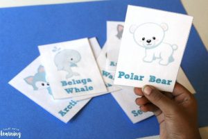 Printable Arctic Animal Flashcards for Kids