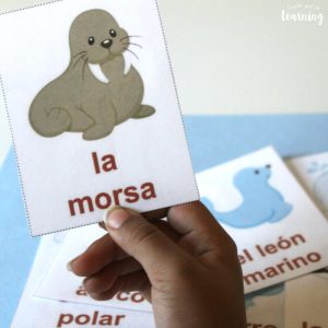 Printable Spanish Arctic Animal Flashcards for Kids