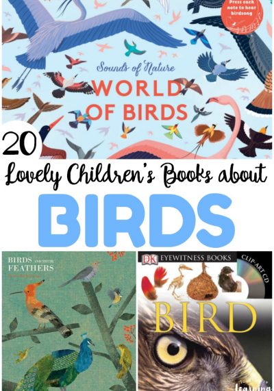 Share some of these lovely children's books about birds with your kids this spring or fall! These are wonderful for learning more about how these incredible creatures live!